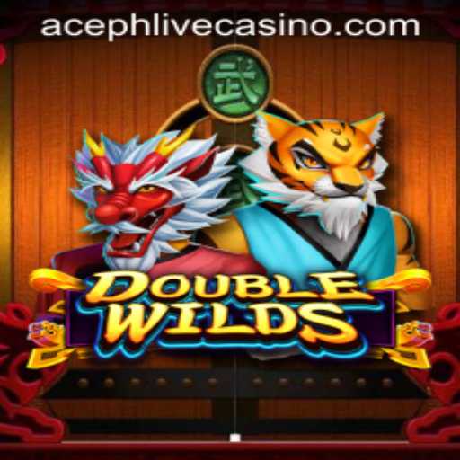 DoubleWilds: A Thrilling Card Game Experience