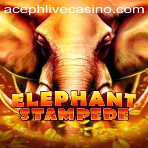 Discover the Thrilling World of ElephantStampede