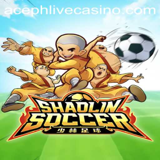 Unleashing Thrills on the Field: A Dive into ShaolinSoccer